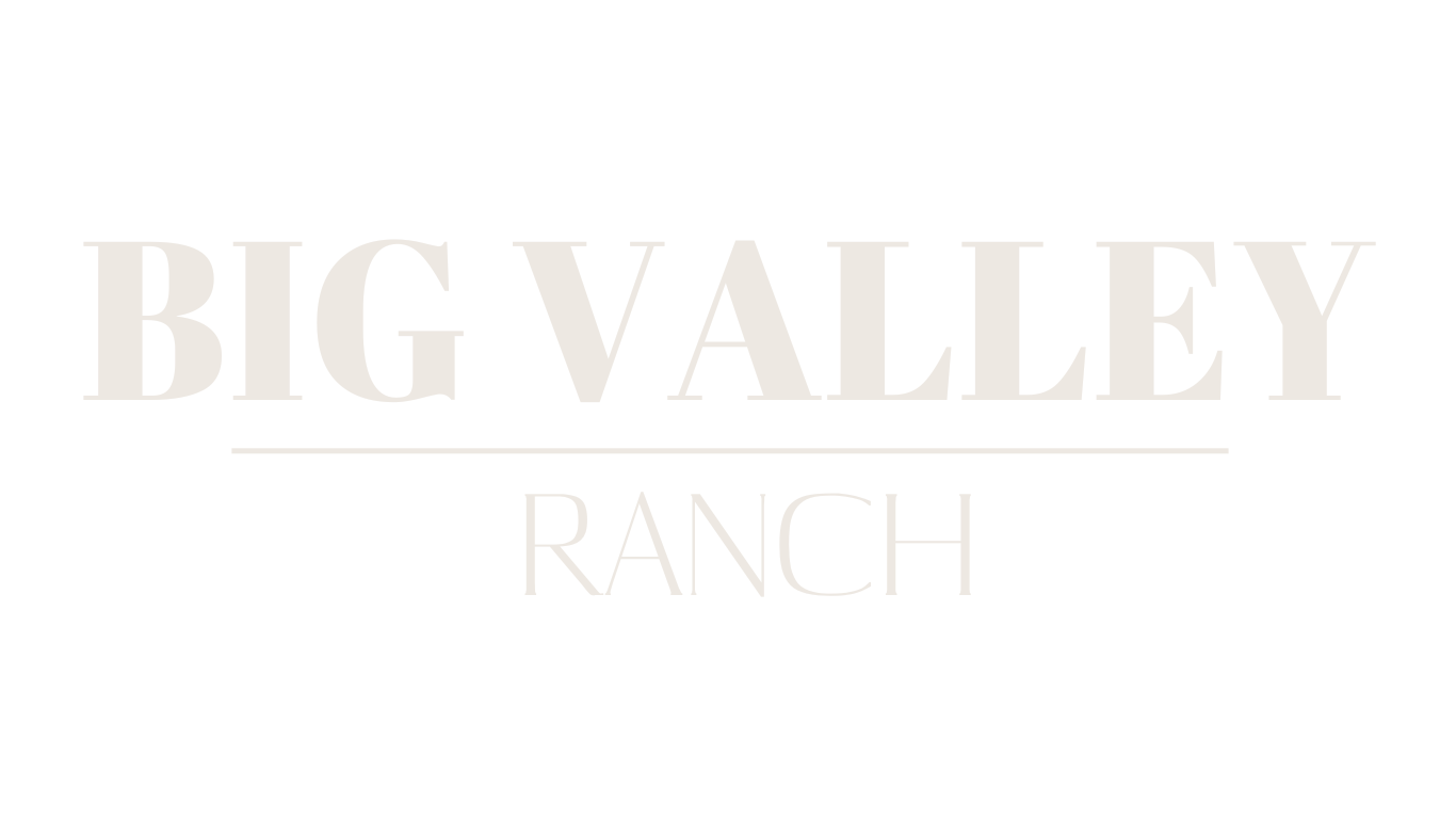Big Valley Ranch Logo
