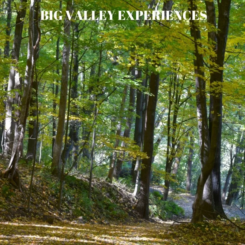 Big Valley Experiences (2)